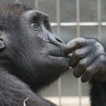 現状を変え成果を出す9つのポイント